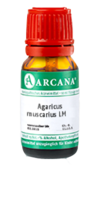 AGARICUS MUSCARIUS LM 11 Dilution