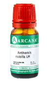 ANTHEMIS nobilis LM 100 Dilution