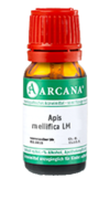 APIS MELLIFICA LM 8 Dilution