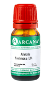 ALETRIS FARINOSA LM 1 Dilution