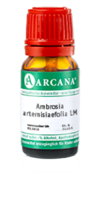 AMBROSIA ARTEMISIAEFOLIA LM 17 Dilution