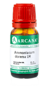 AMMONIACUM dorema LM 28 Dilution