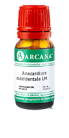 ANACARDIUM OCCIDENTALE LM 4 Dilution