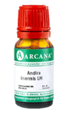 ANDIRA inermis LM 20 Dilution