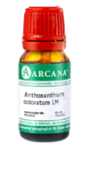 ANTHOXANTHUM odoratum LM 2 Dilution