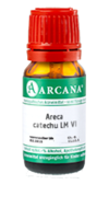 ARECA catechu LM 6 Dilution