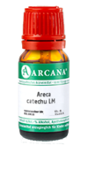 ARECA catechu LM 8 Dilution