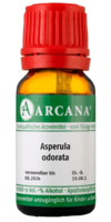 ASPERULA ODORATA LM 10 Dilution